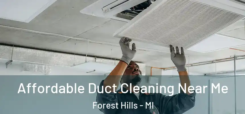 Affordable Duct Cleaning Near Me Forest Hills - MI