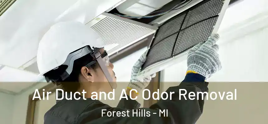  Air Duct and AC Odor Removal Forest Hills - MI