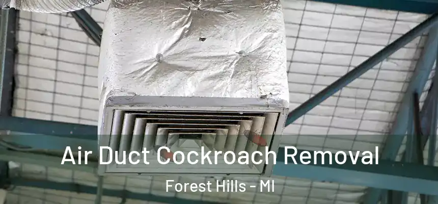 Air Duct Cockroach Removal Forest Hills - MI