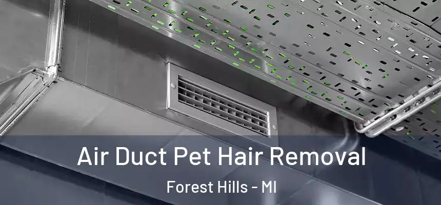  Air Duct Pet Hair Removal Forest Hills - MI