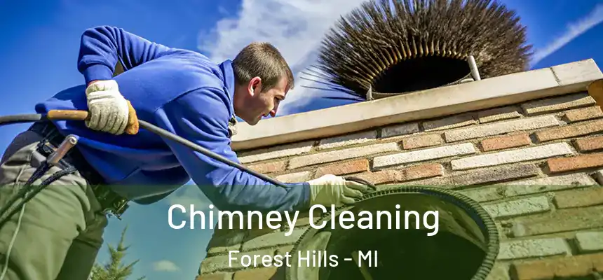  Chimney Cleaning Forest Hills - MI