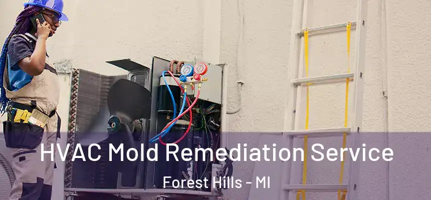  HVAC Mold Remediation Service Forest Hills - MI