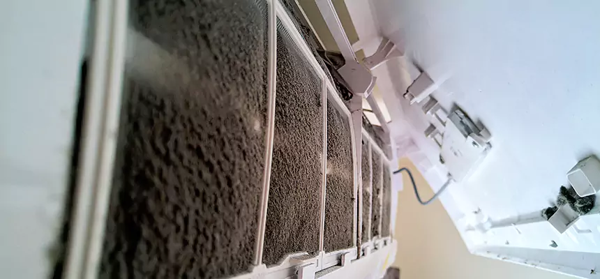 Preventive Air Duct Bacteria Removal in Forest Hills