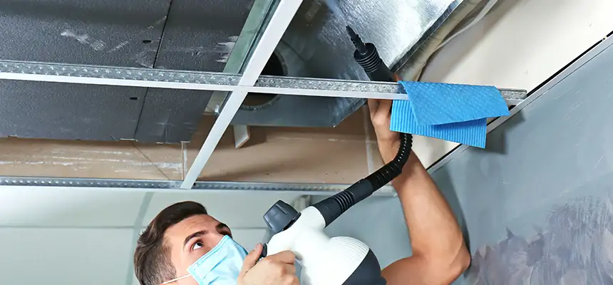 Our Air Duct Rodent Removal Services in Forest Hills, MI