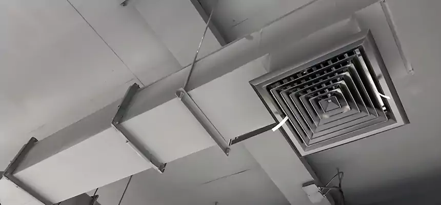 Our Rodent Droppings In Vents Services in Forest Hills, MI