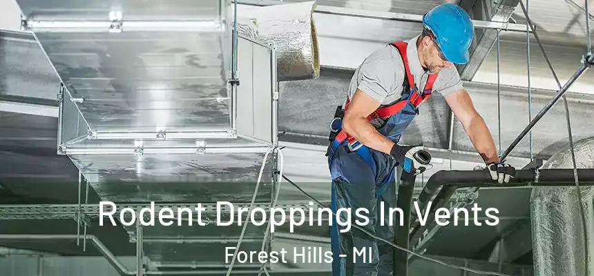 Rodent Droppings In Vents Forest Hills - MI