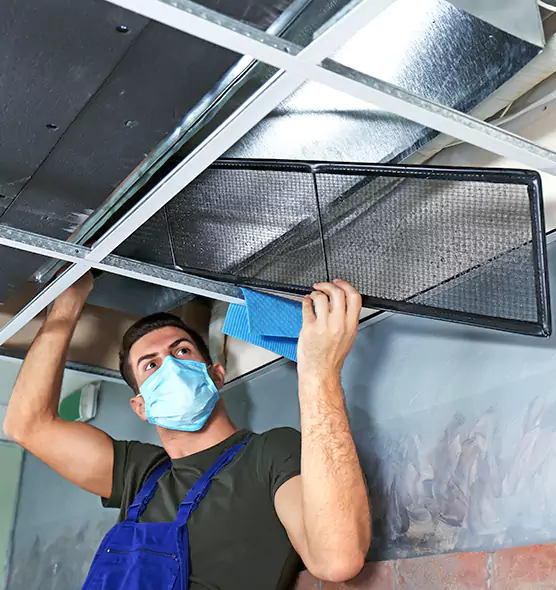 About Air Duct Bacteria Removal in Forest Hills