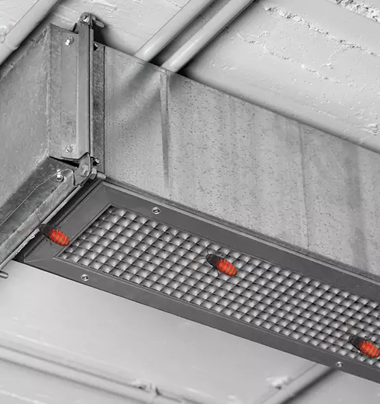 About Air Duct Cockroach Removal in Forest Hills, MI