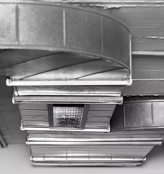 Professional Air Duct Pet Hair Removal in Forest Hills, MI