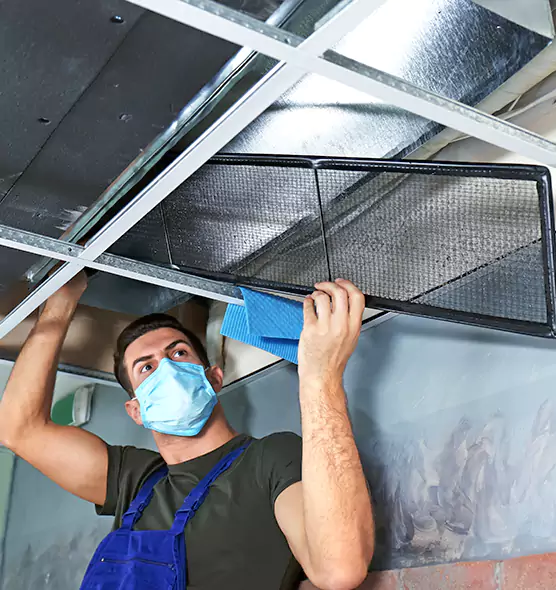 Professional Air Duct Pollen Cleaning in Forest Hills, MI