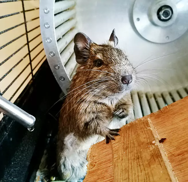 Why Homeowners & Businesses Trust Us Forest Hills, MI