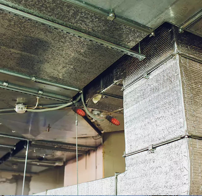 Why Homeowners & Businesses Trust Us Forest Hills, MI?