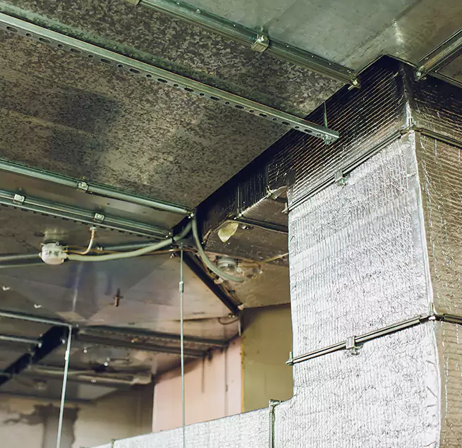 Why Homeowners & Businesses Trust Us in Forest Hills, MI?