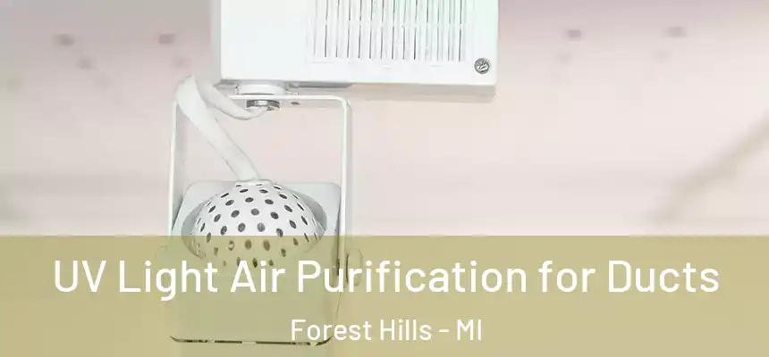  UV Light Air Purification for Ducts Forest Hills - MI